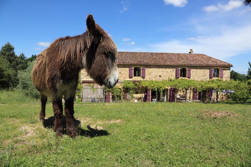 Chambres d'Hôtes Léone Haute Saint-Avit-Rivière Esterno foto
